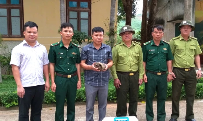 Tiếp nhận 2 cá thể Tê tê java để cứu hộ