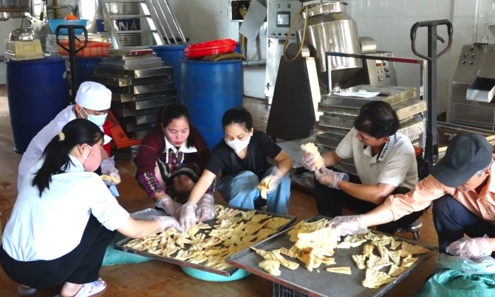Nâng cao giá trị măng rừng