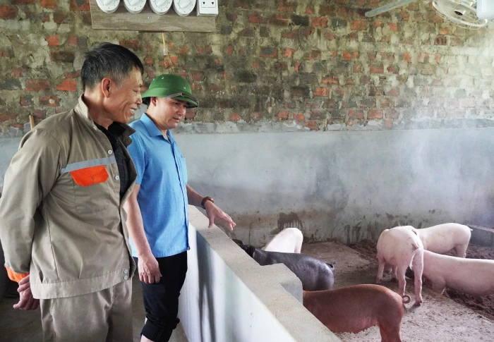 Chăn nuôi theo hướng xanh, bền vững