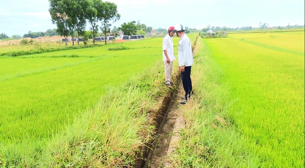 Các tuyến kênh dẫn nước trên đồng ruộng ở Hợp tác xã Đông Giang 1 bị khô cạn - Ảnh: Đ.V