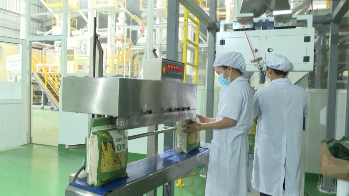 Khuyến khích xây dựng các mô hình liên kết giữa doanh nghiệp và nông dân