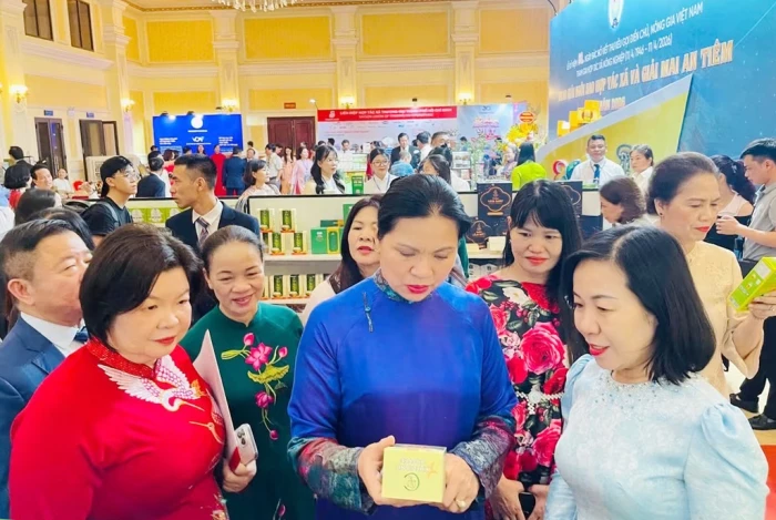 Thúc đẩy phát triển kinh tế tập thể