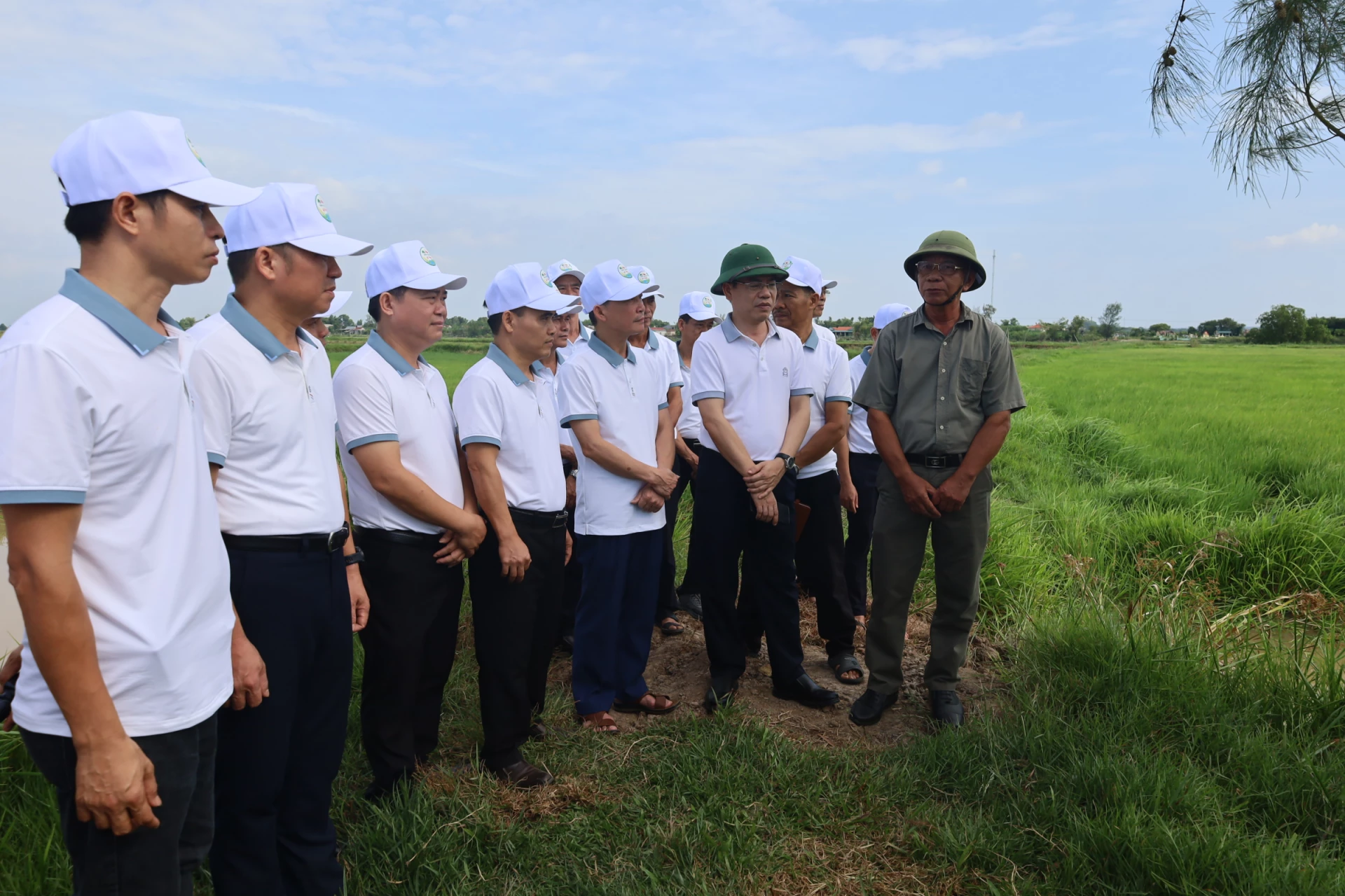 Đoàn công tác xã Lệ Thủy tham quan thực tế mô hình trồng lúa hữu cơ kết hợp nuôi tôm càng xanh của HTX Nông sản hữu cơ Gio Linh - Ảnh: H.C