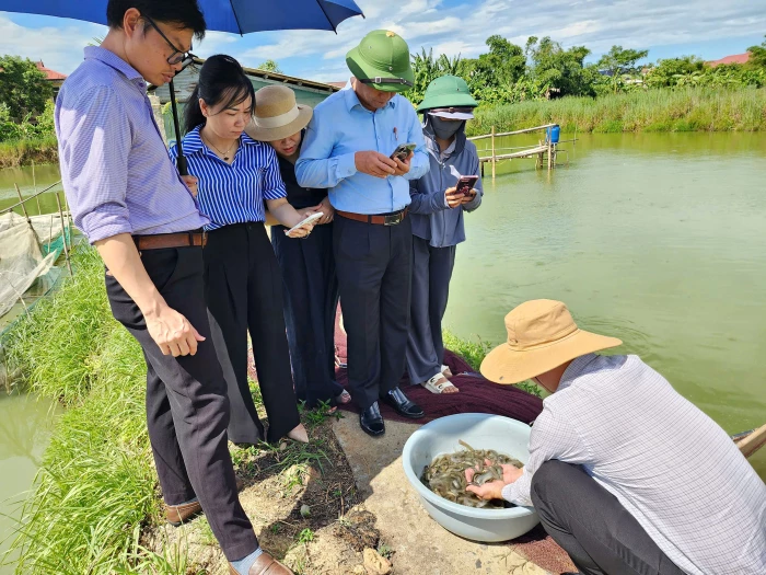 Nhân giống thành công cá chạch bùn