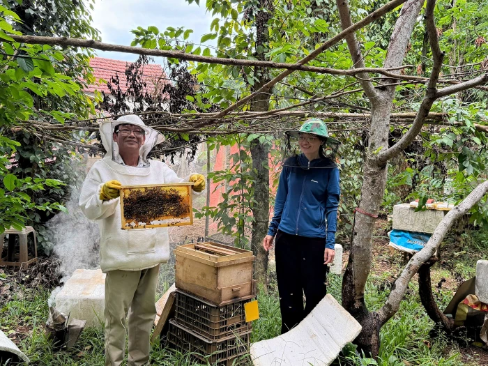 Hiệu quả mô hình nuôi ong lấy mật