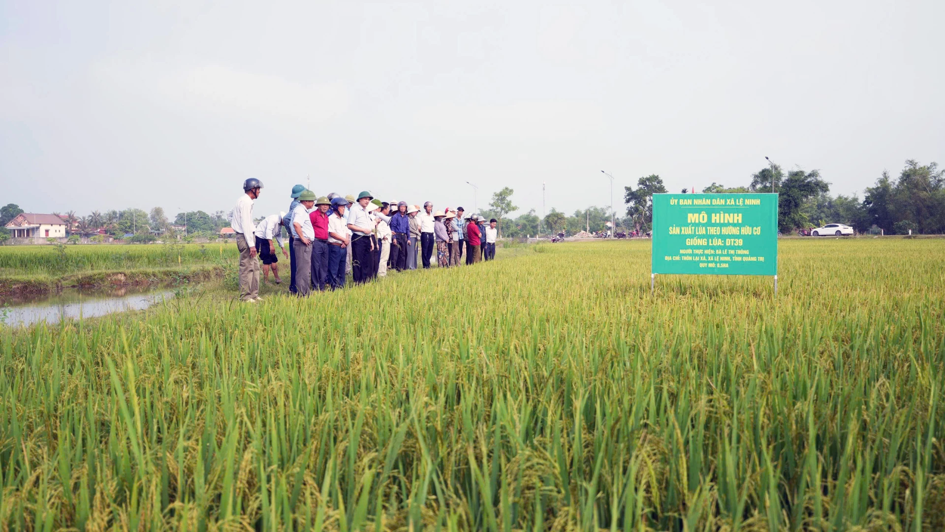 Phát triển nông nghiệp hữu cơ, góp phần nâng cao giá trị sản phẩm và thu nhập cho người dân - Ảnh: L.Chi
