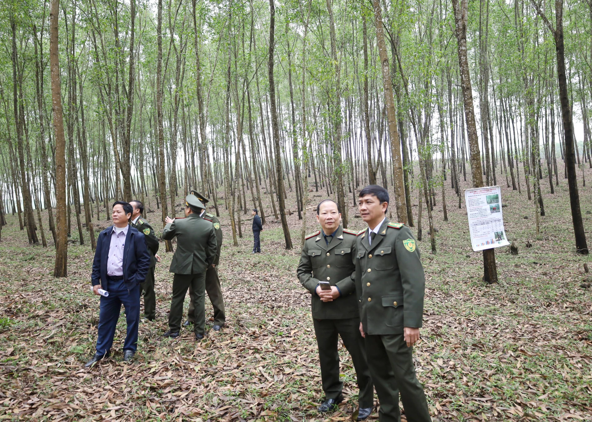 Lực lượng chức năng triển khai nhiều giải pháp nhằm thích ứng với EUDR - Ảnh: V.M.
