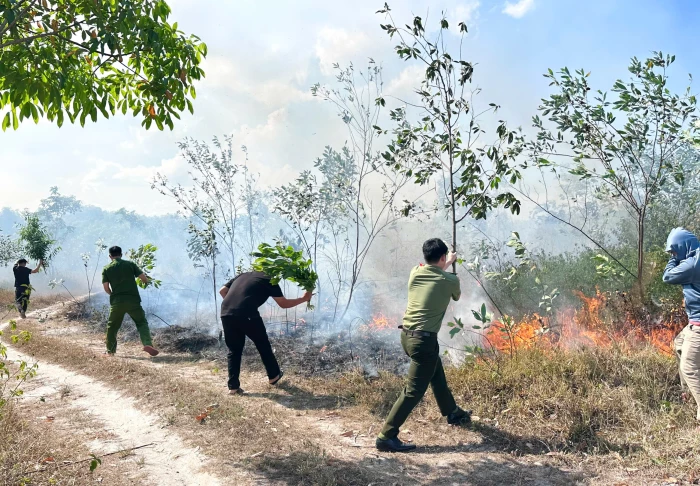 Nam Trạch: Chủ động phòng cháy, chữa cháy rừng