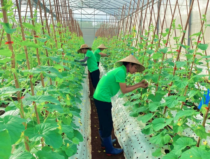 Nông nghiệp chuyển mình theo nhịp số
