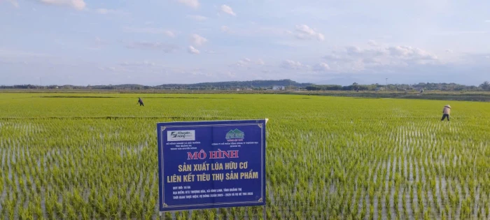 'Hợp vốn, hợp sức'