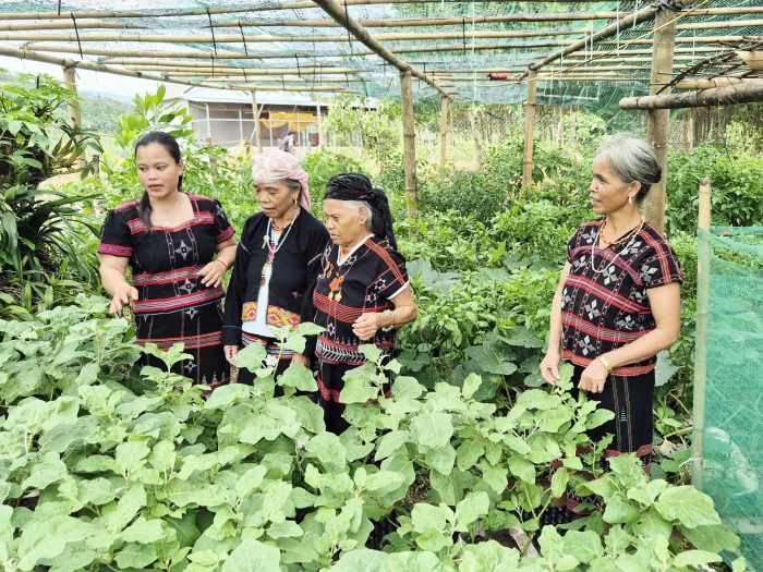 'Ngọn lửa' nơi biên cương