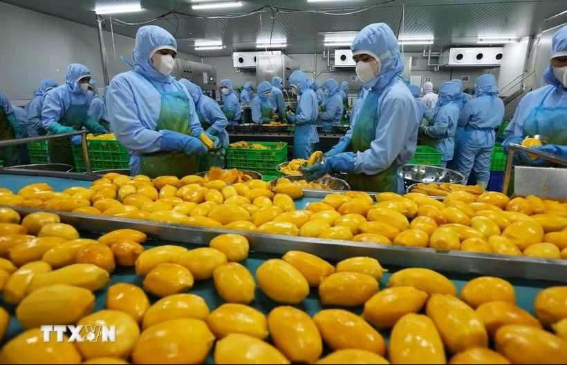 Việt Nam được xem là thị trường giàu tiềm năng đối với các doanh nghiệp nông nghiệp Mỹ. (Ảnh minh họa: Vũ Sinh/TTXVN)