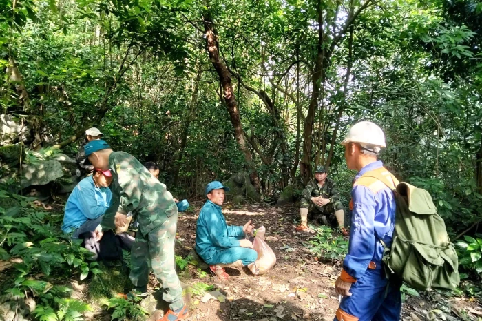 Giữ màu xanh đại ngàn