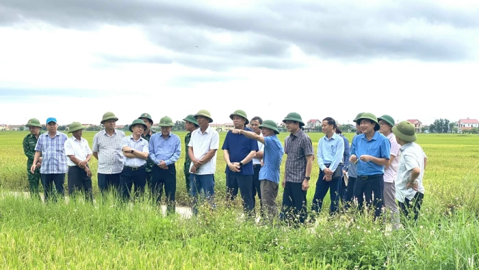 Phó Bí thư Thường trực Tỉnh ủy Nguyễn Long Hải: Tuyệt đối không được chủ quan, lơ là công tác phòng chống bão số 5