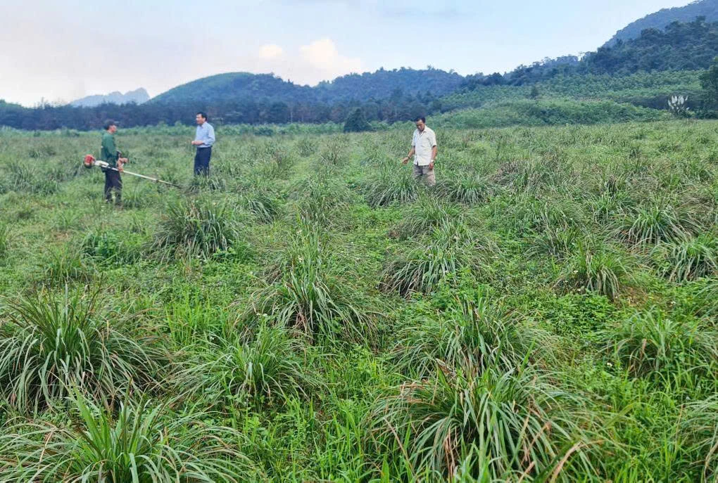 Nhờ được tiếp cận thông tin, đời sống của đồng bào dân tộc thiểu số ở xã Trường Sơn ngày càng được nâng lên - Ảnh: L.C