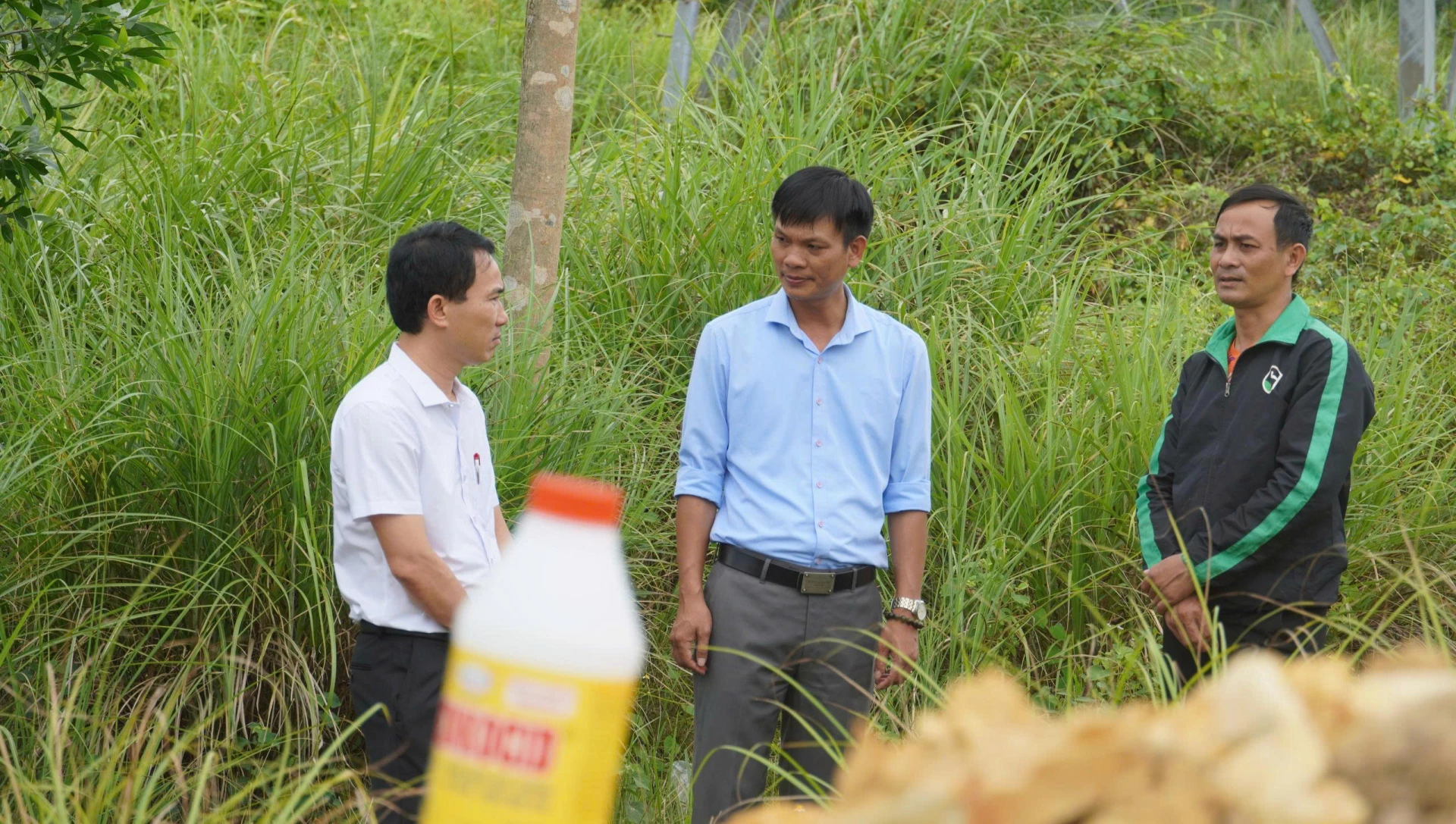 Cán bộ địa phương kiểm tra khu chôn lấp vật nuôi bị dịch bệnh - Ảnh: N.M