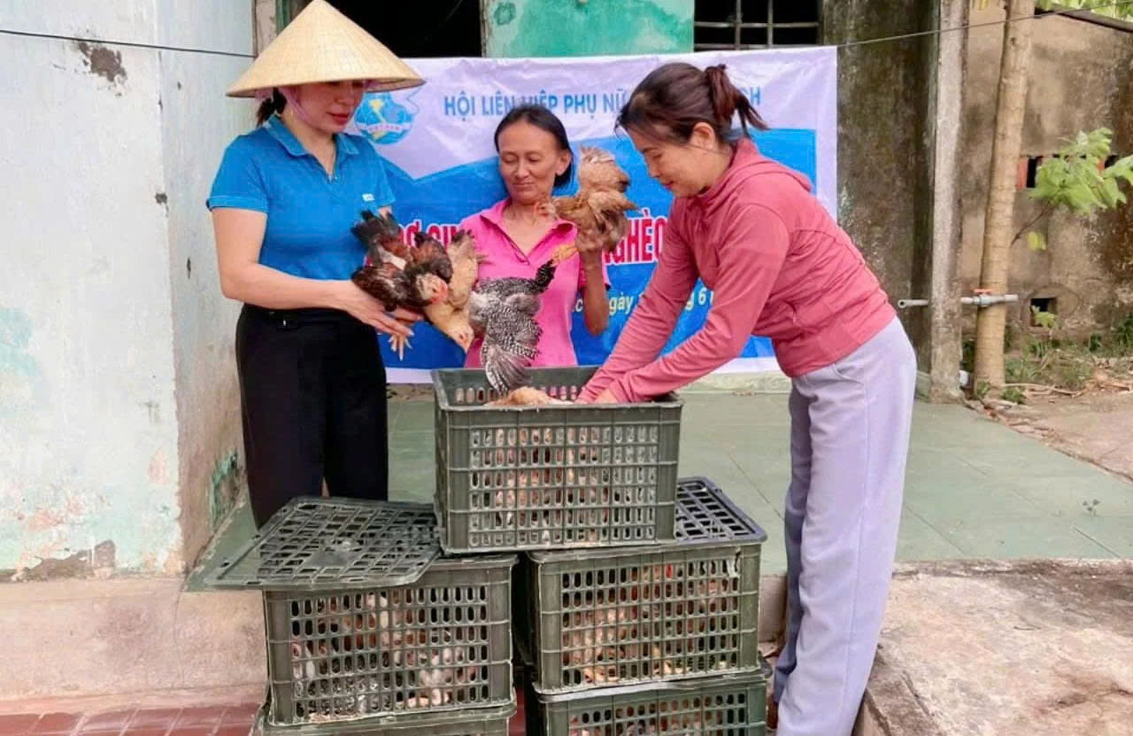  Các cấp hội phụ nữ tỉnh Quảng Trị quan tâm hỗ trợ mô hình sinh kế giúp chị em phát triển kinh tế - Ảnh: L.M