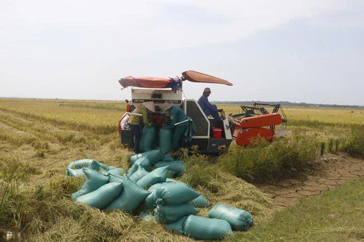 Sản xuất nông nghiệp được triển khai theo hướng ứng dụng khoa học, công nghệ -Ảnh: N.L