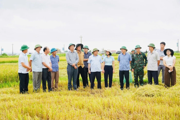 Phó Bí thư Tỉnh ủy, Chủ tịch HĐND tỉnh Nguyễn Đăng Quang kiểm tra công tác ứng phó bão số 5