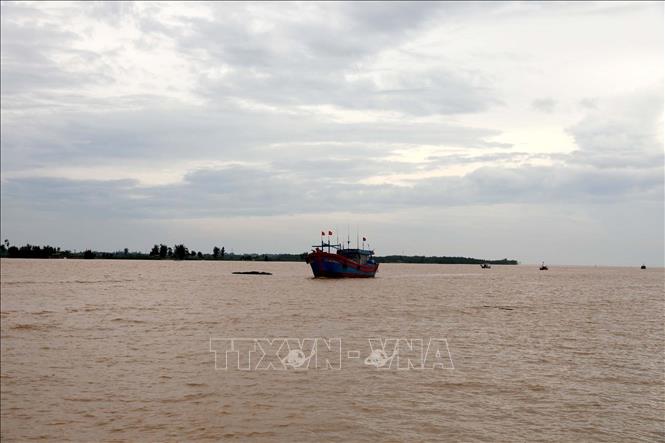 Tàu thuyền tại tỉnh Thanh Hóa đang về nơi trú bão. Ảnh: Nguyễn Nam/TTXVN