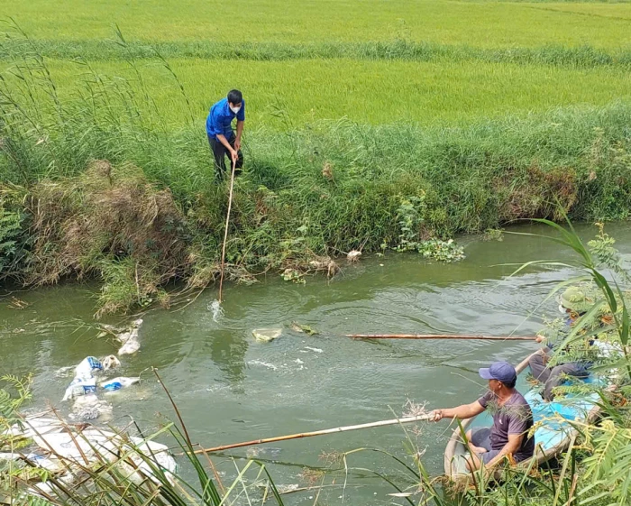 Xã Đông Trạch: Xử lý, chôn lấp hàng chục con lợn chết do dịch bệnh