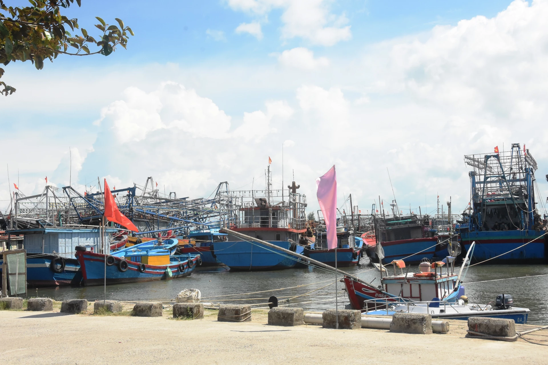 Tàu thuyền neo đậu an toàn ở âu tàu phía Nam cảng Cửa Việt - Ảnh: ĐV