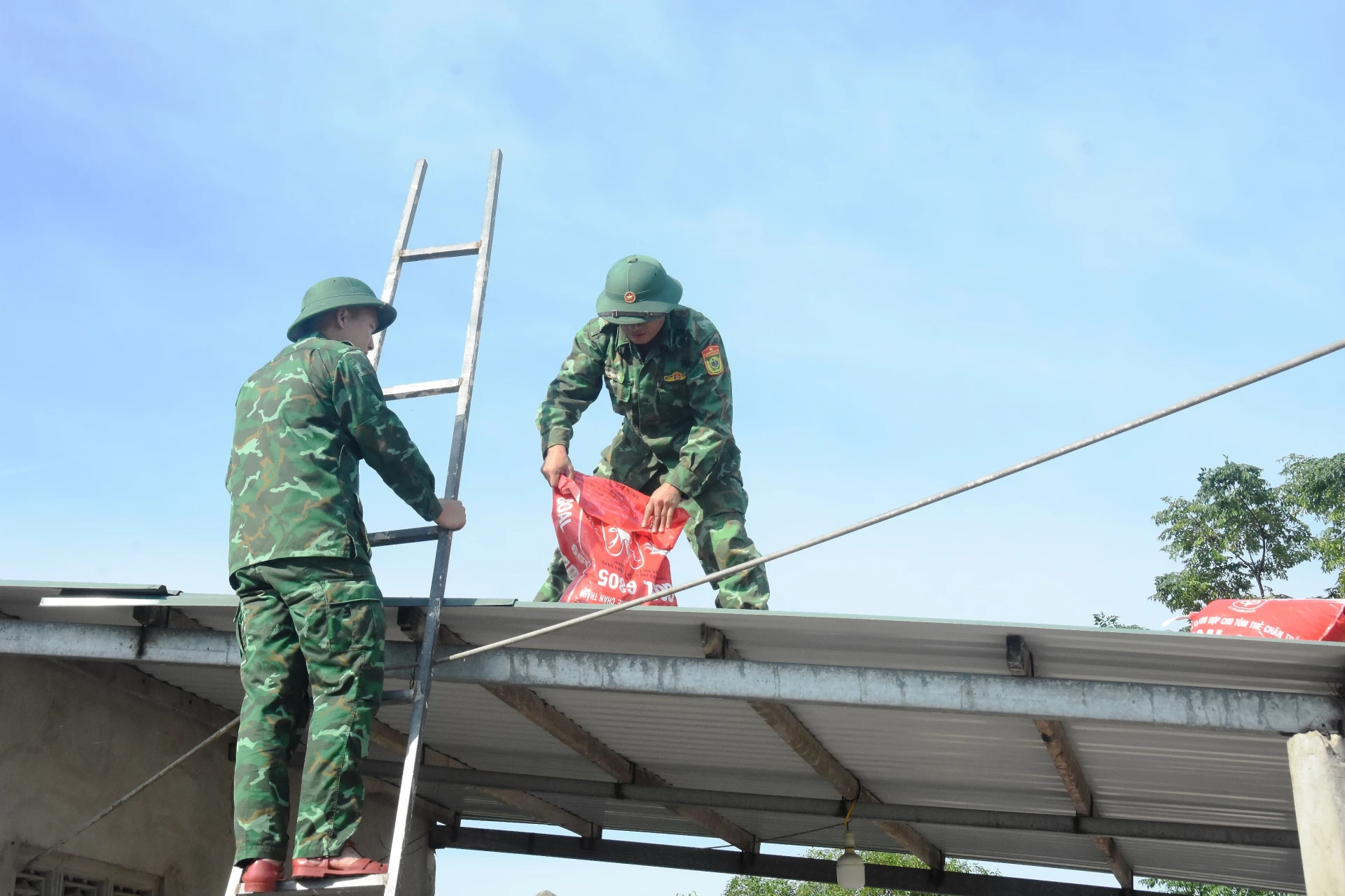 Cán bộ, chiến sĩ Đồn Biên phòng Triệu Vân giúp người dân chằng chống nhà cửa chống bão số 5 - Ảnh: ĐV