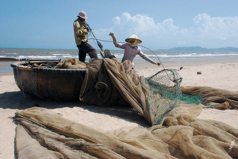 Ở Phú Quốc, cuộc sống ngư dân diễn ra theo nhịp điệu riêng của sóng, gió và thủy triều. Buổi sớm, khi trời còn chưa sáng rõ, người dân đã bắt đầu kéo lưới lên bờ. Không cần khẩu hiệu, không cần người chỉ huy, mỗi người một tay, thân thể họ như đã thuộc lòng nhịp biển.