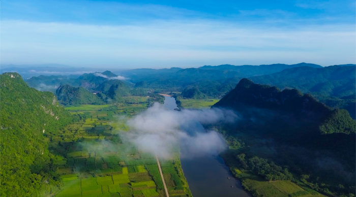 Bảo tồn đàn Voọc gáy trắng