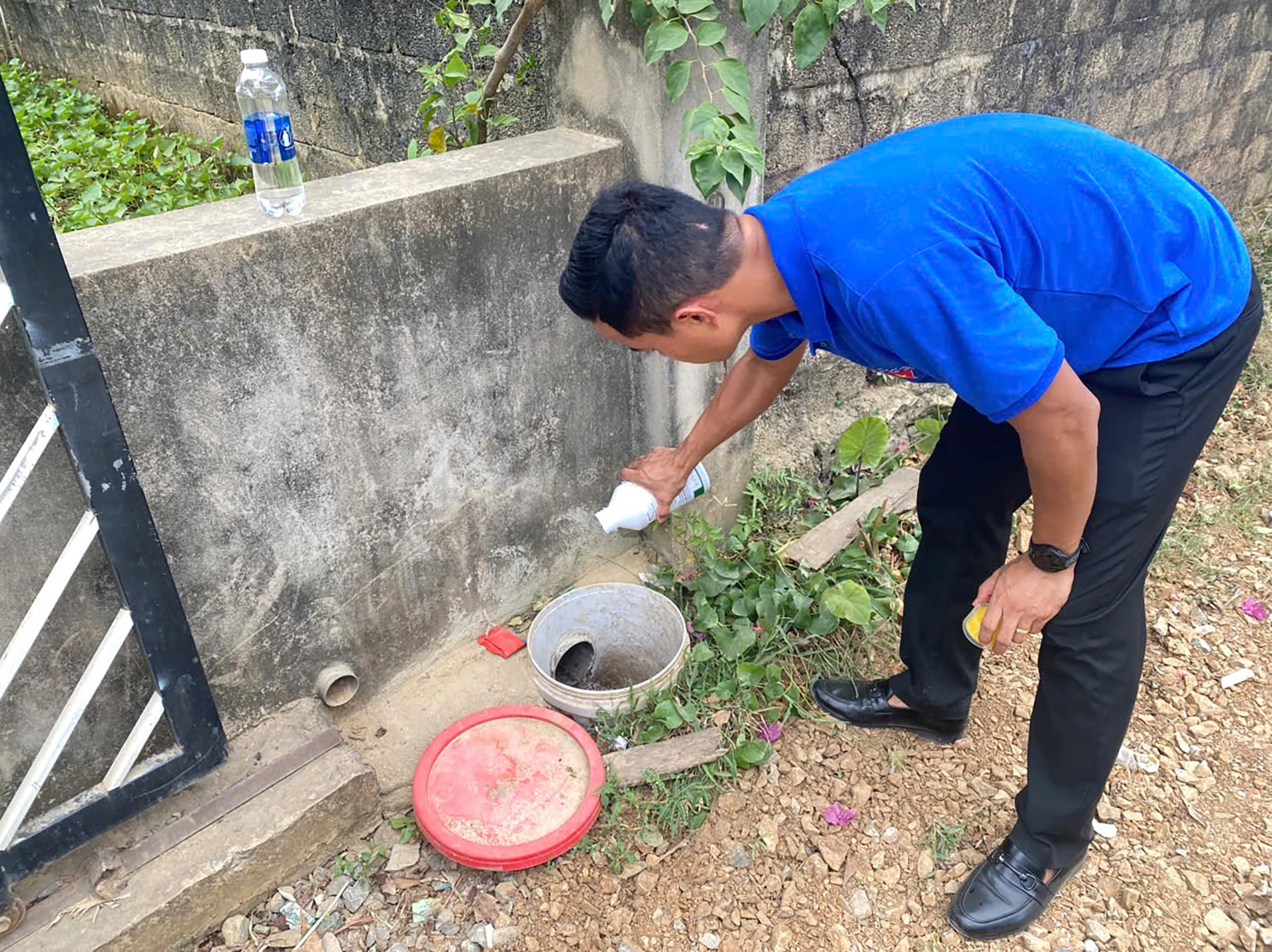 Đổ hóa chất diệt lăng quăng, bọ gậy tại các điểm có nguy cơ cao.