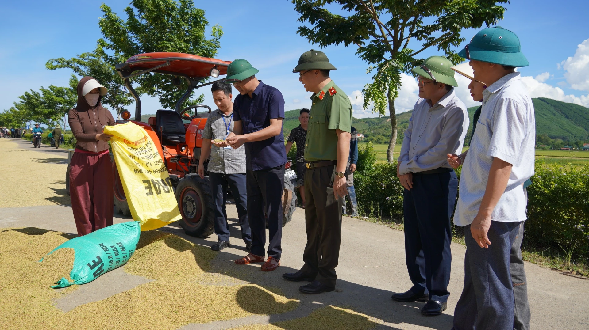 Bí thư Tỉnh ủy thăm, động viên bà con nông dân đang thu hoạch lúa tránh bão - Ảnh: QV