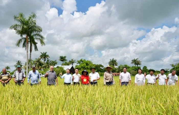 Phim tài liệu VTV đặc biệt lần đầu tiên phát sóng song song trên truyền hình Việt Nam và Cuba