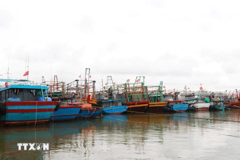 Chủ động ứng phó áp thấp nhiệt đới. (Ảnh: Nguyên Lý/TTXVN)