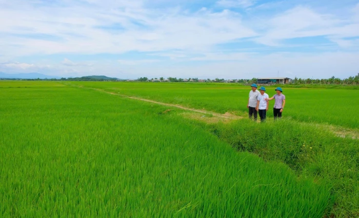 Từ hạt giống ý chí đến thương hiệu OCOP