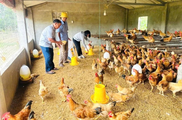 Kỳ vọng của cử tri về kỳ họp thứ 2, HĐND tỉnh khóa VIII