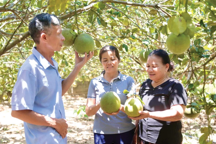 Diện mạo mới trên chiến khu Thủy Ba