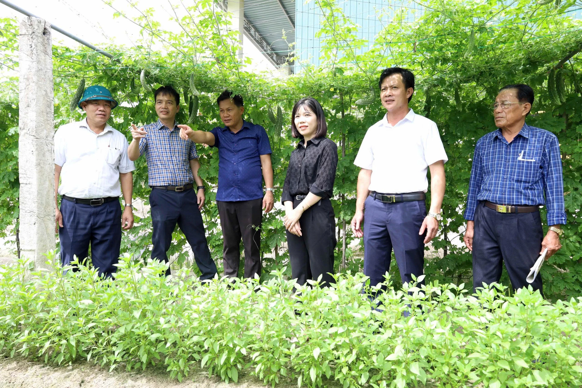 Ban Thường vụ Đảng ủy xã Cam Hồng kiểm tra kết quả xây dựng vườn mẫu nông thôn mới -Ảnh: Q.N