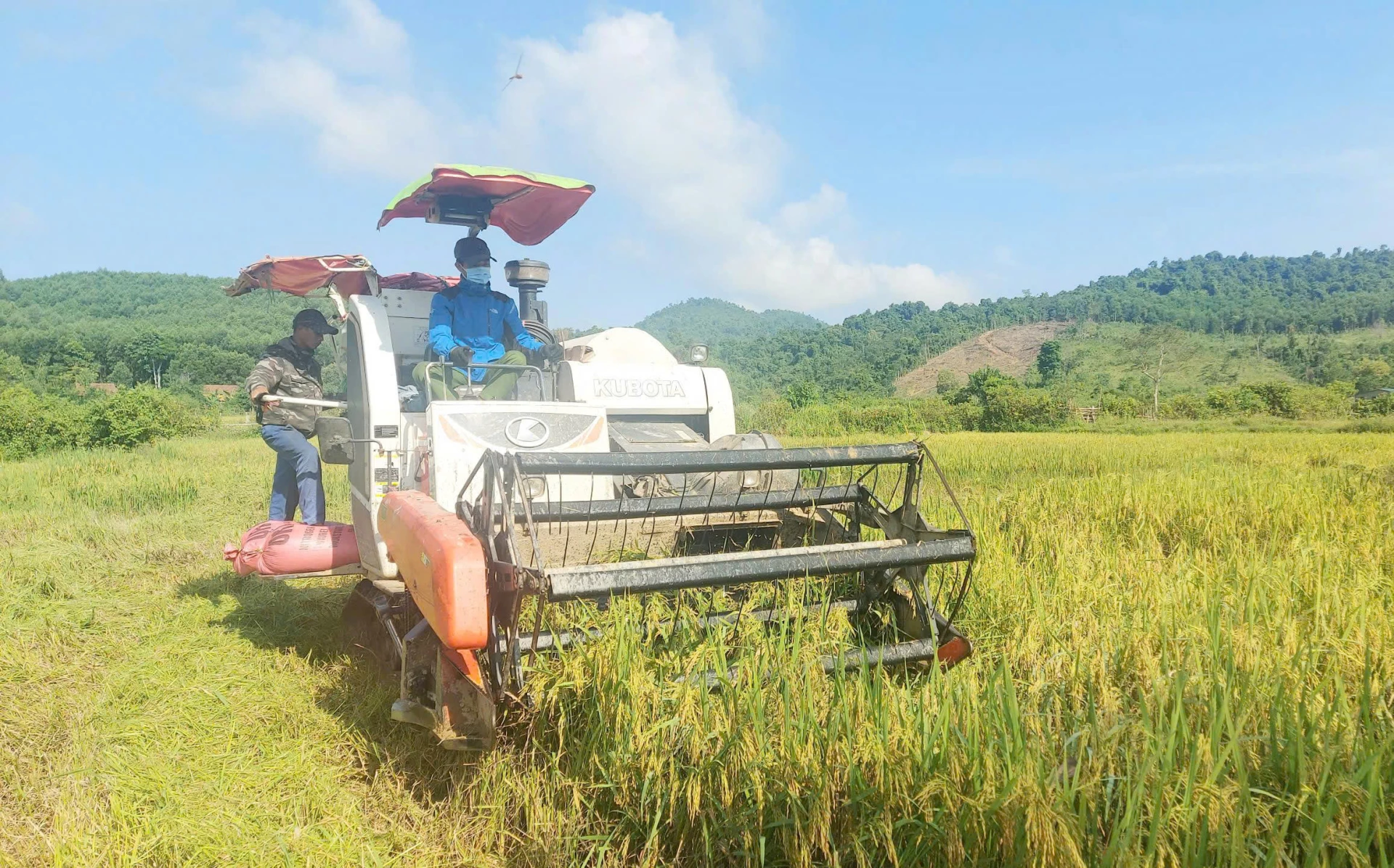 Sản xuất nông nghiệp là hướng đi giúp nhiều hộ dân vươn lên thoát nghèo - Ảnh: X.V