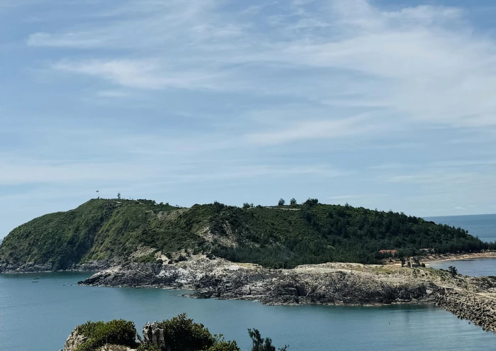 Đời đảo, phận người