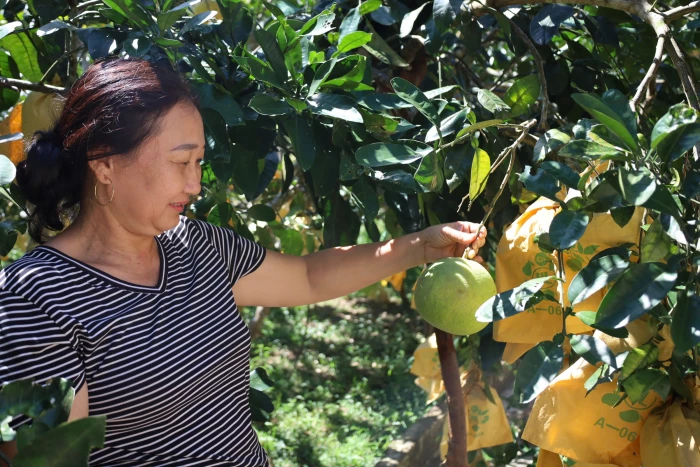 Vượt khó lập nghiệp nơi vùng cao