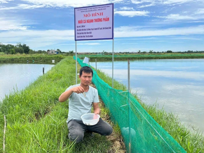 Nuôi cá ngạnh: Hướng đi mới cho nông dân
