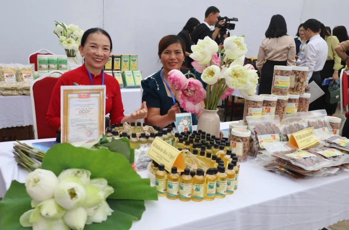 Hướng đến mục tiêu kết nối giao thương hiện đại và toàn diện 