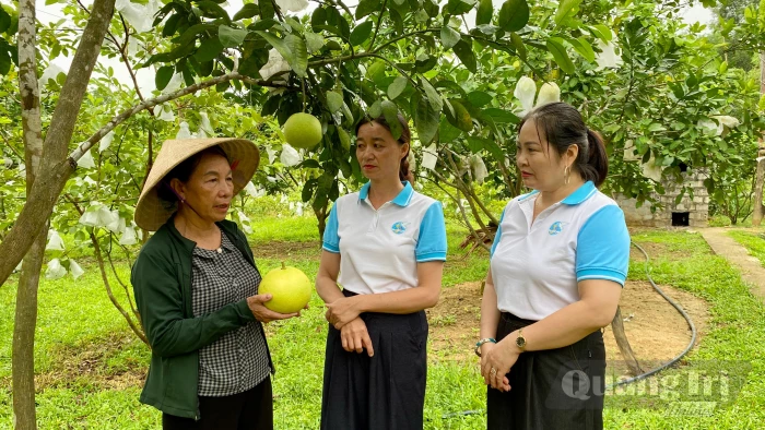 Tiếp sức phụ nữ phát triển kinh tế