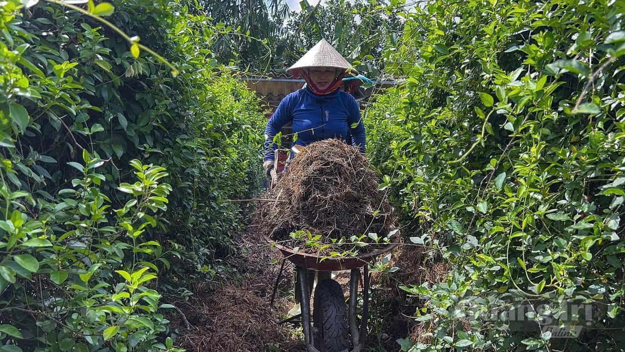 Xanh hóa sản xuất