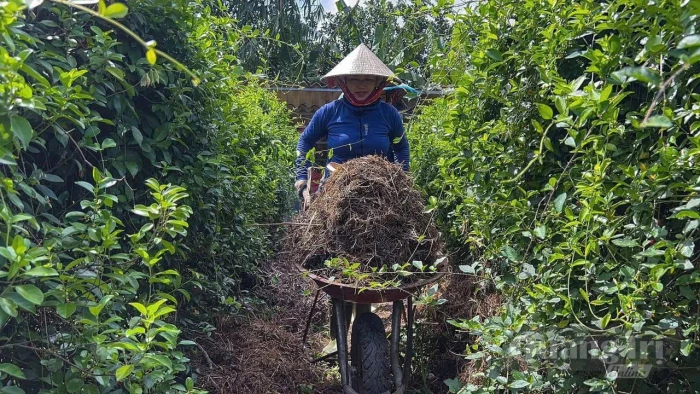 Xanh hóa sản xuất