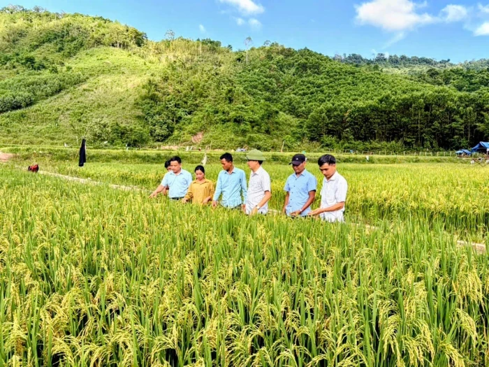 Nỗ lực giảm nghèo bền vững