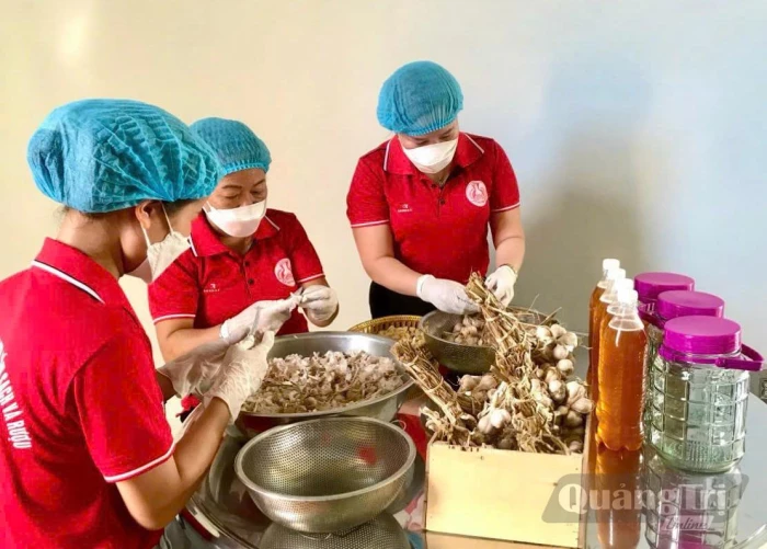 Thúc đẩy kinh tế tập thể phát triển