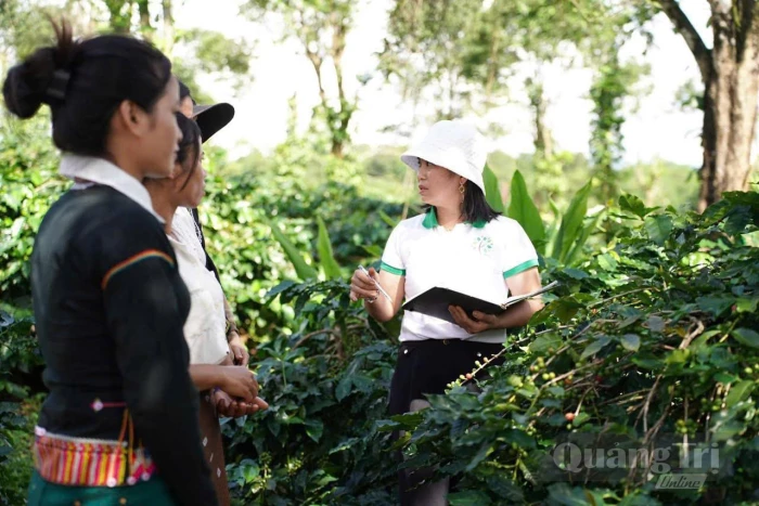 Biến phụ phẩm cà phê thành tài nguyên