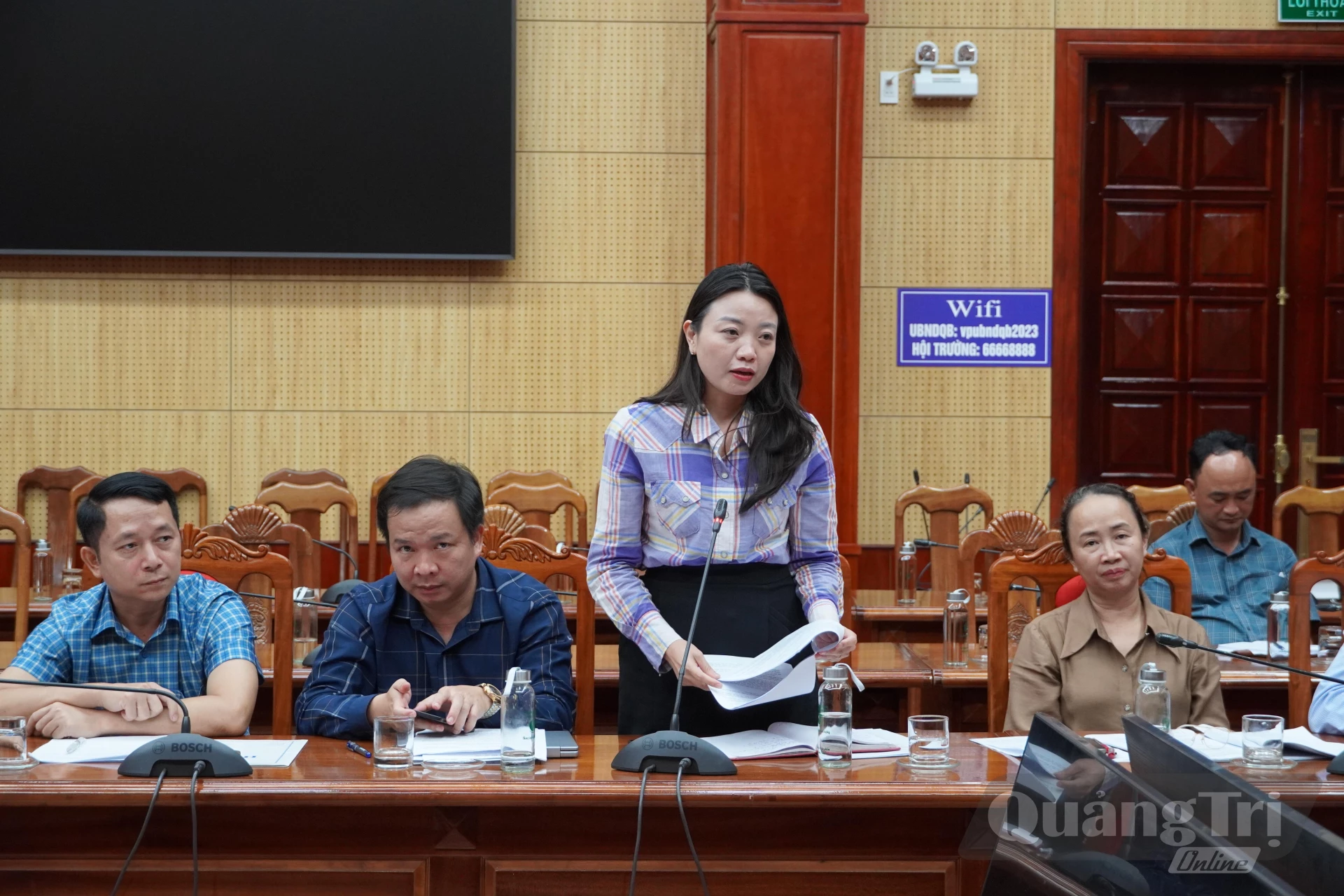 Lãnh đạo Sở Văn hóa, Thể thao và Du lịch phát biểu tại buổi làm việc - Ảnh: H.N
