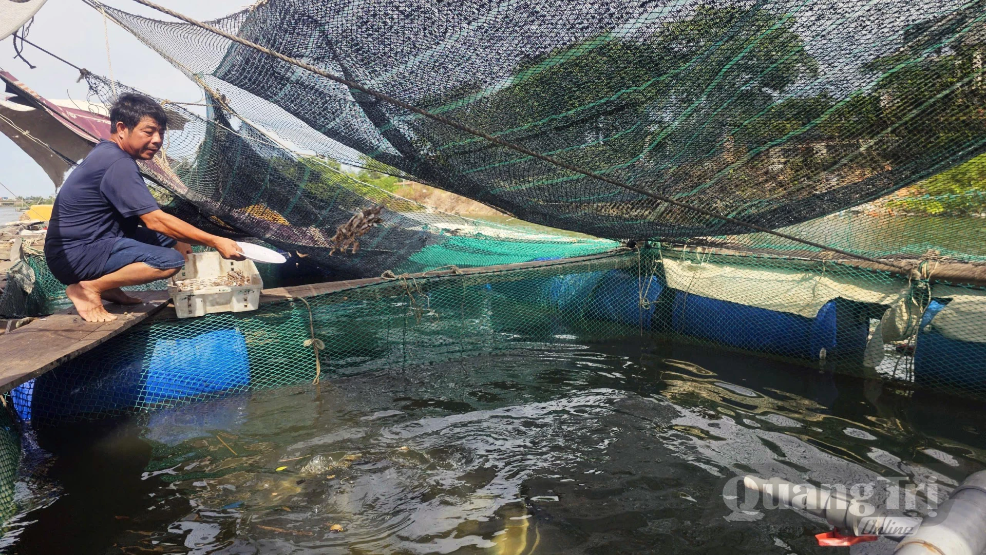 Mô hình nuôi cá lồng trên sông của gia đình anh Mai Tuyến, thôn Cồn Sẻ mang lại hiệu quả kinh tế cao - Ảnh: L.Lan